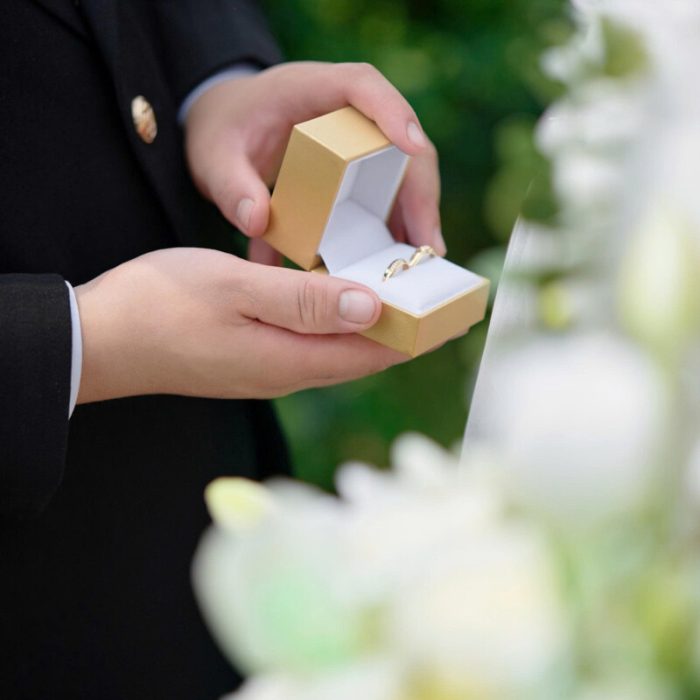 a586024bdb9a50c4098b54